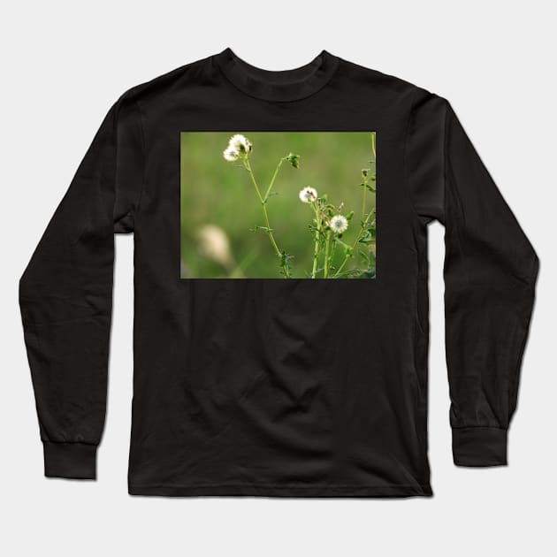 weeds Long Sleeve T-Shirt by xaxuokxenx